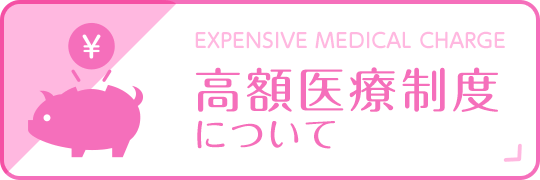 高額医療制度について|詳しくはこちら